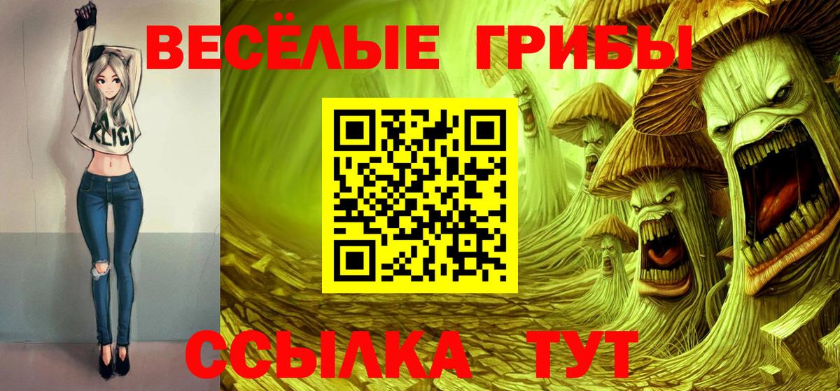 Псилоцибиновые грибы прущие грибы Пенза